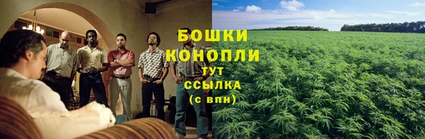 mix Касимов