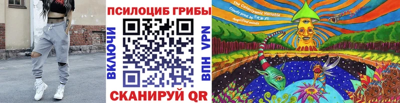 MEGA рабочий сайт  Новое Девяткино  Псилоцибиновые грибы Magic Shrooms 